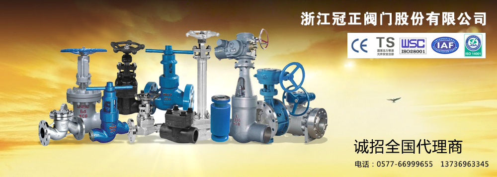 保定摩科電力有限公司